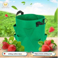 Strawberry Grow Bag Fabric Pot with Handles 10 Gallon 40x35cm 9 mouths 