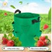 5 Gallon 30x25cm 3 mouths Strawberry Grow Bag Fabric Pot with Handles