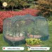 Foldable Chicken Coop Outdoor Transparent Pet Cage